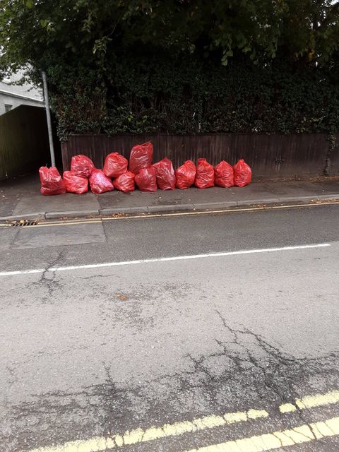 A row of full red sacks lined up neatly along the kerb in front of a hedge